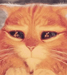 Puss In Boots Eyes GIF - Puss In Boots Eyes Beg GIFs