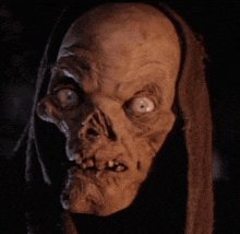 a close up of a skeleton 's face with a hood on