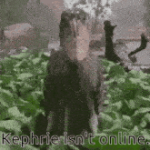 Kephrie Isnt Online Discord GIF - Kephrie Isnt Online Discord GIFs