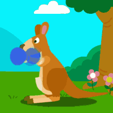 Kangaroo Punch GIF - Kangaroo Punch Dizzy GIFs