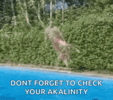 a man is jumping into a pool with the words `` do n't forget to check your alkalinity '' .