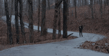 In The Woods Avi Kaplan GIF - In The Woods Avi Kaplan Ill Get By Music Video GIFs