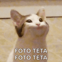 a cat with its mouth wide open and the words foto teta foto teta written on it .