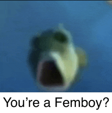 Your A Femboy GIF - Your A Femboy GIFs