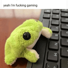 a stuffed frog is sitting on top of a keyboard with the words yeah i 'm fucking gaming below it