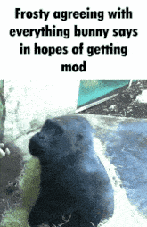 frosty agreeing with everything bunny says in hopes of getting mad