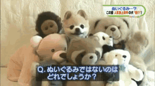 a bunch of stuffed animals are sitting on a bed and a question is being asked in a language other than english