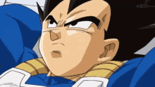 Dragon Ball Super Annoyed GIF - Dragon Ball Super Annoyed Vegeta GIFs