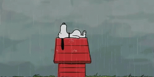 Snoopy Having A Rainy Day GIF - Weather Rainyday Rain GIFs