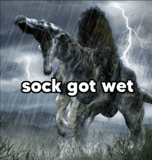 a picture of a dinosaur in the rain with the words " sock got wet " below it