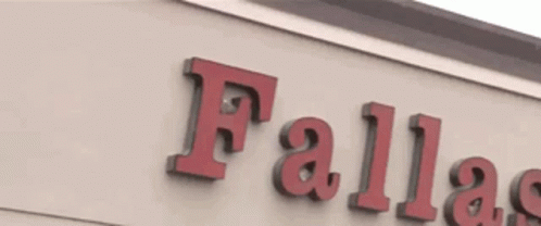 Fallas Paredes Store GIF - Fallas Paredes Store Clothing - Discover & Share  GIFs