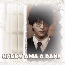 a picture of harry potter with the words harry ama a dani below him