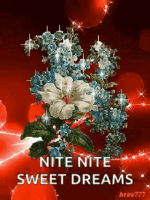 nite nite sweet dreams sparkles flowers goodnight