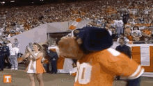GIF