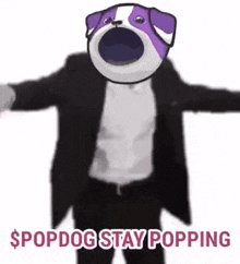 Popdog Popdogsolcoin GIF - Popdog Popdogsolcoin Popdog Meme GIFs