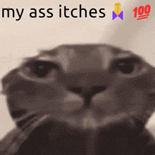 My Ass Itches GIF - My Ass Itches GIFs