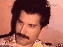 80s Freddie Kelsisman GIF - 80s Freddie Kelsisman Freddie Mercury GIFs