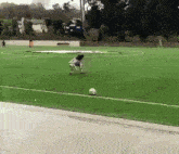 a person is playing soccer on a field with a ball