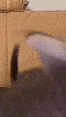 a cat is playing with a cardboard box on a bed .