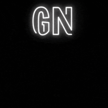 Gn Good Night GIF - Gn Good Night Cani GIFs