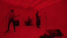 a band is playing in a purple room with a marshall amplifier in the background