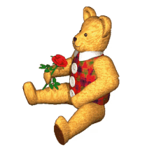 teddy bear sticker red rose teddy bear and rose teddy smelling rose nice scent