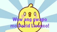 David Licauco Nyeyvid Nicoco GIF - David Licauco Nyeyvid Nicoco Pambansang Ginoo GIFs