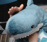 Hehe Shonk Shark GIF - Hehe Shonk Shonk Shark GIFs