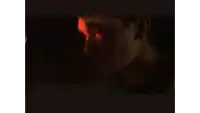 a man with a red spot on his forehead is holding his hand to his face .