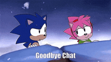 a cartoon of sonic the hedgehog and amy rose says goodbye chat