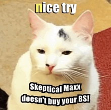 a white cat with the words nice try skeptical maxx does n't buy your bs on its face