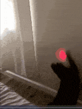 Cattoy GIF - Cattoy GIFs