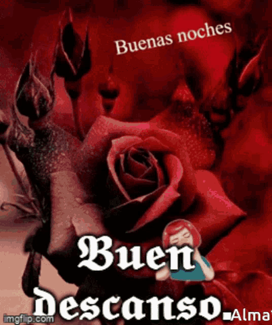 Buenas Noches Buen Descanso GIF - Buenas Noches Buen Descanso - Discover & Share GIFs Buenas Noches Buen Descanso GIF - Buenas Noches Buen Descanso - Discover & Share GIFs