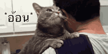 แมวง้อ อ้อน GIF - Cat Hug Me Love Me GIFs