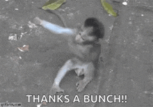 Thanks Monkey GIF - Thanks Monkey Hug GIFs
