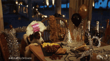 a dog wearing a party hat sits at a table with new year 's eve decorations and bottles of champagne