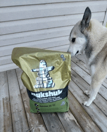 Hadassa Allison Zarya The Laika GIF - Hadassa Allison Zarya The Laika Dog Smells Dry Food Bag GIFs