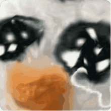 a close up of a cat 's eyes with the word siss visible