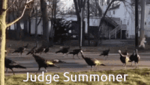 Judge Judge Summoner GIF - Judge Judge Summoner Turkey GIFs
