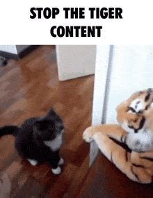 Tiger Content GIF - Tiger Content Stop GIFs