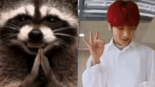 Taehyun Taehyun Raccoon GIF - Taehyun Taehyun Raccoon Txtreaction GIFs