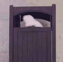 a teddy bear is sticking its head out of a trashcan