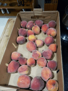 Peaches Are Sweet GIF