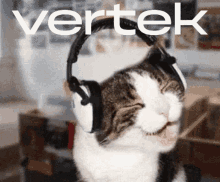 Vertek Defi Vertek GIF - Vertek Defi Vertek Cats Of Vertek GIFs