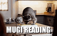 Mugi Raccoon Mugi Reading GIF - Mugi Raccoon Mugi Reading GIFs