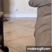 Pigeee So Funny GIF - Pigeee So Funny Cute GIFs