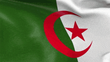 Algeria الجزائر GIF - Algeria الجزائر Algeria Flag GIFs