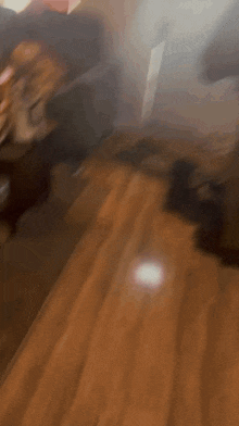 a blurry picture of a person walking on a wooden floor .