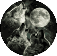 Howlingatthe Moon Wolf Sticker