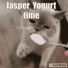 Jasper Yogurt GIF - Jasper Yogurt GIFs
